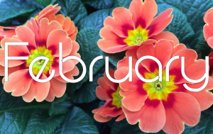 February