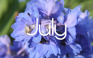 July