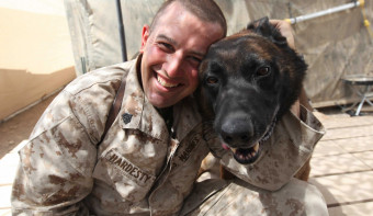 National K9 Veterans Day