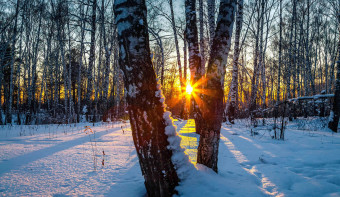 Winter Solstice