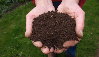 National Learn About Composting Day