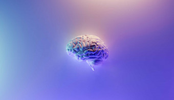 Read more about International Brain Day