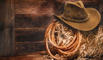 National Day of the Cowboy