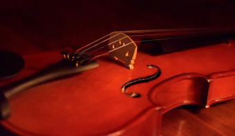 Read more about National Violin Day