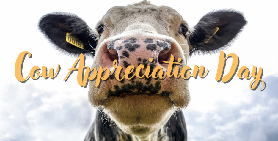 Cow Appreciation Day in USA in 2025